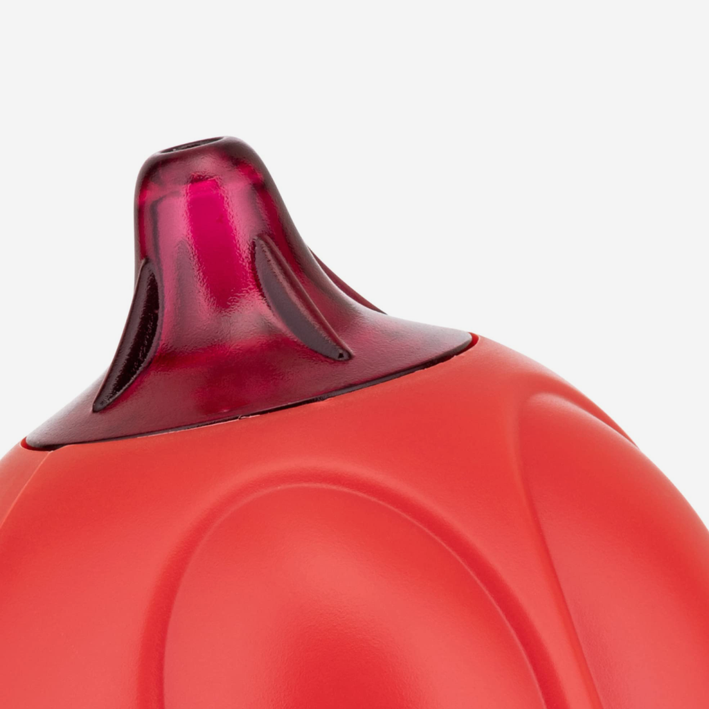 Zucchino Sugar Bowl & Dispenser