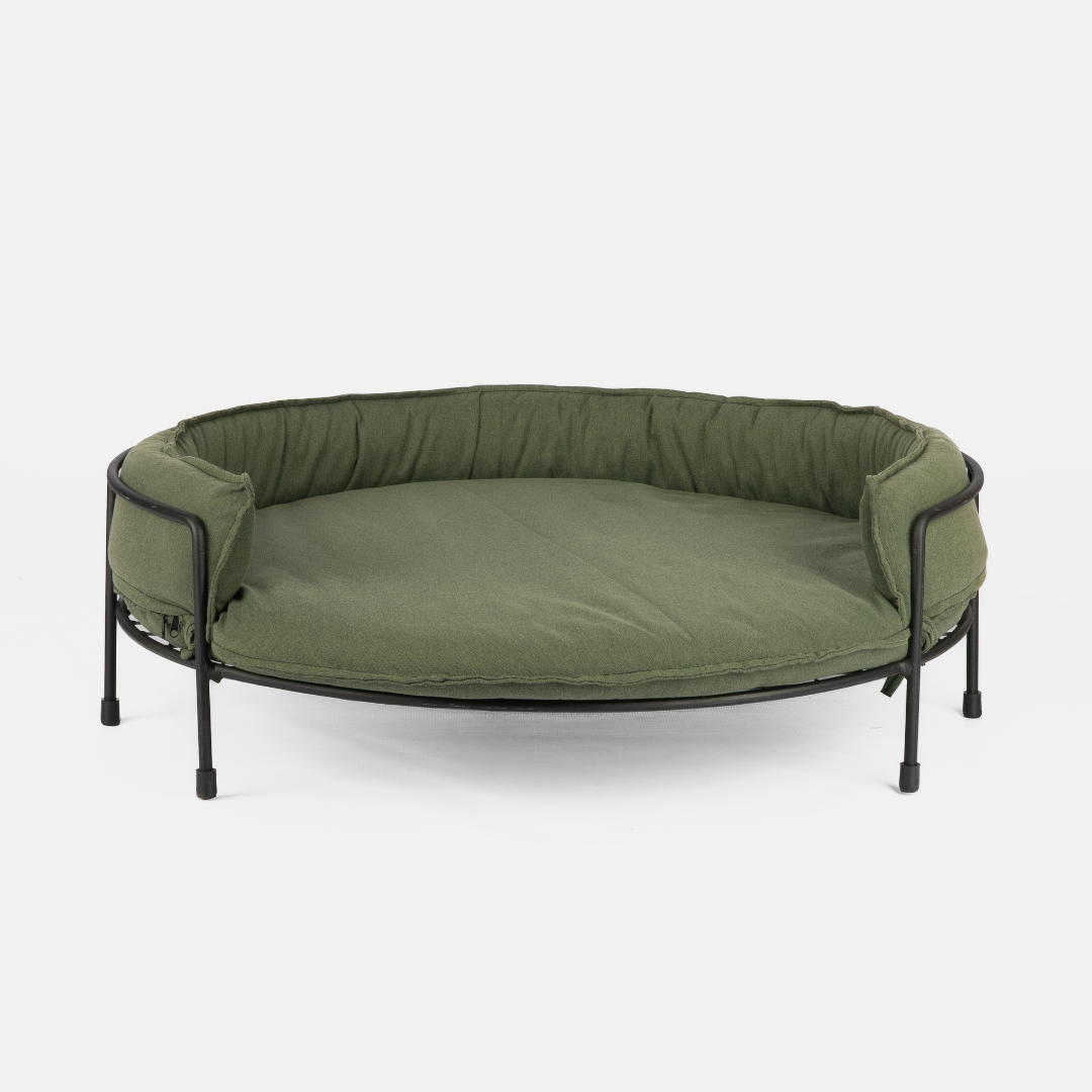 Elevated green dog sofa with a steel frame and soft padding, set against a white background.