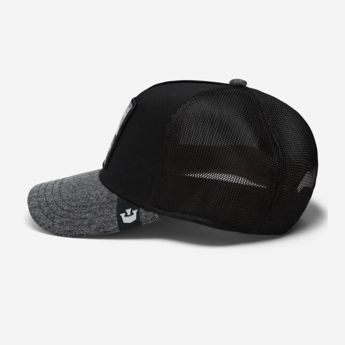 The OG Tortoise - Black