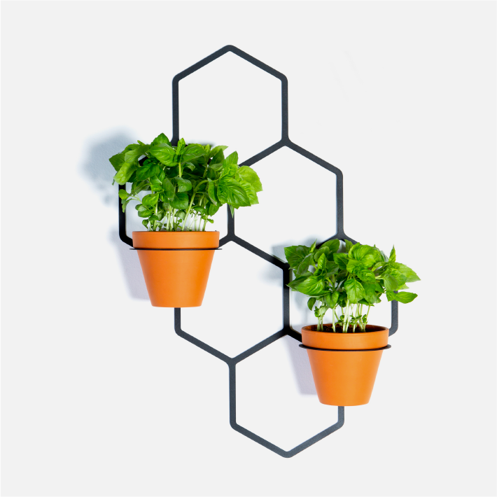 Hex Wall Planter - Black