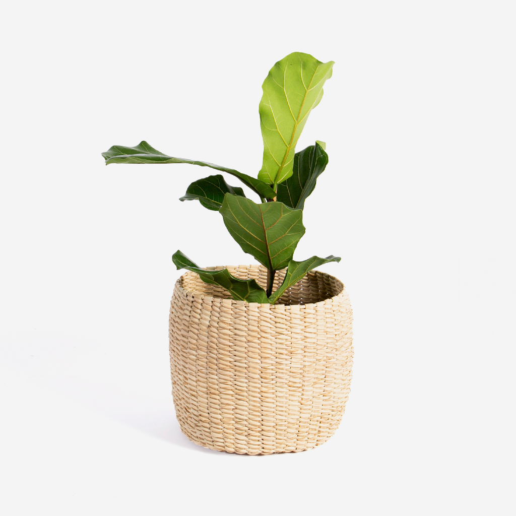 Irene Round Basket